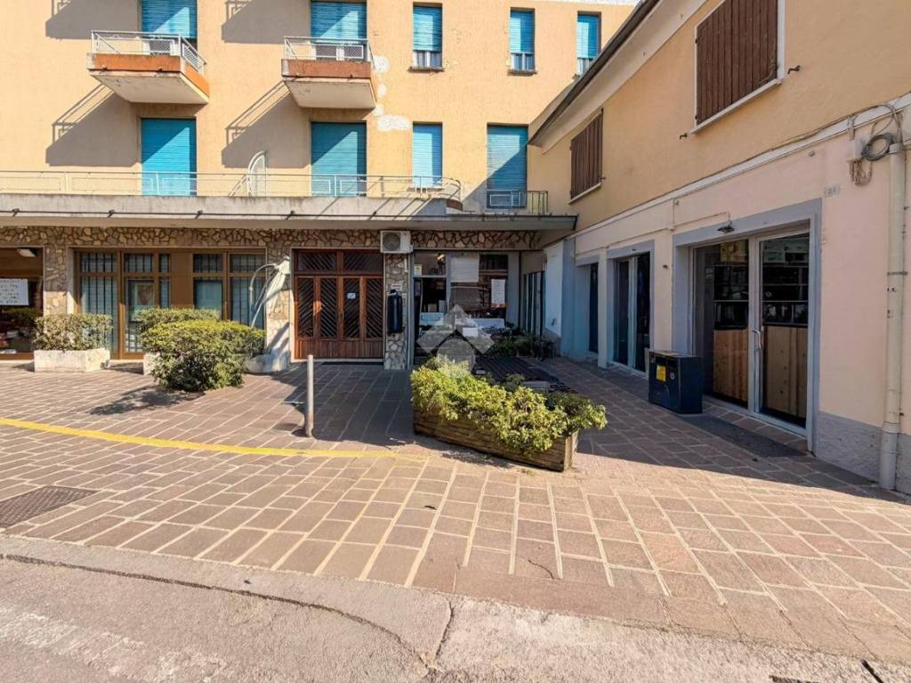 immagine annuncio 5 di 12