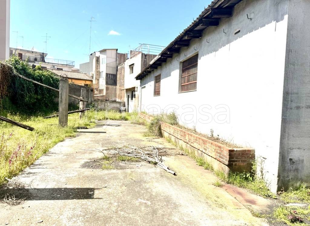 immagine annuncio 6 di 14