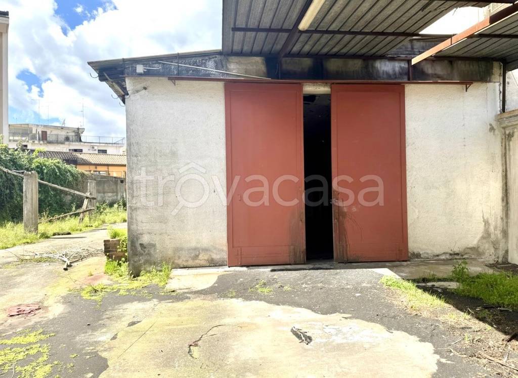 immagine annuncio 7 di 14