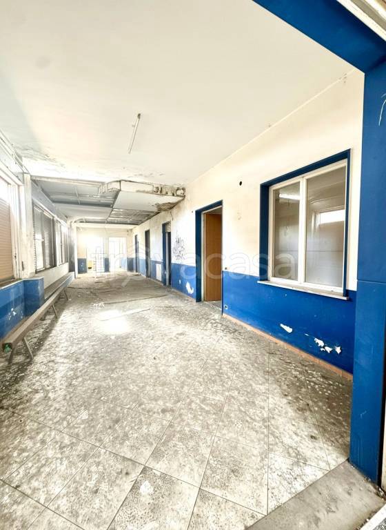 immagine annuncio 9 di 14