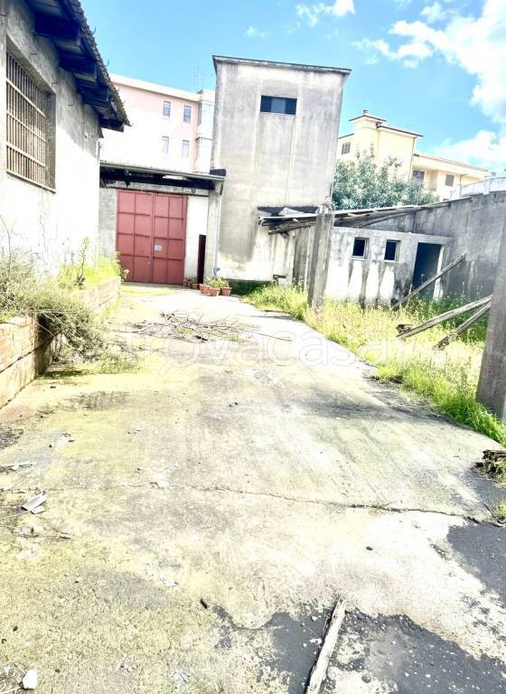 immagine annuncio 11 di 14