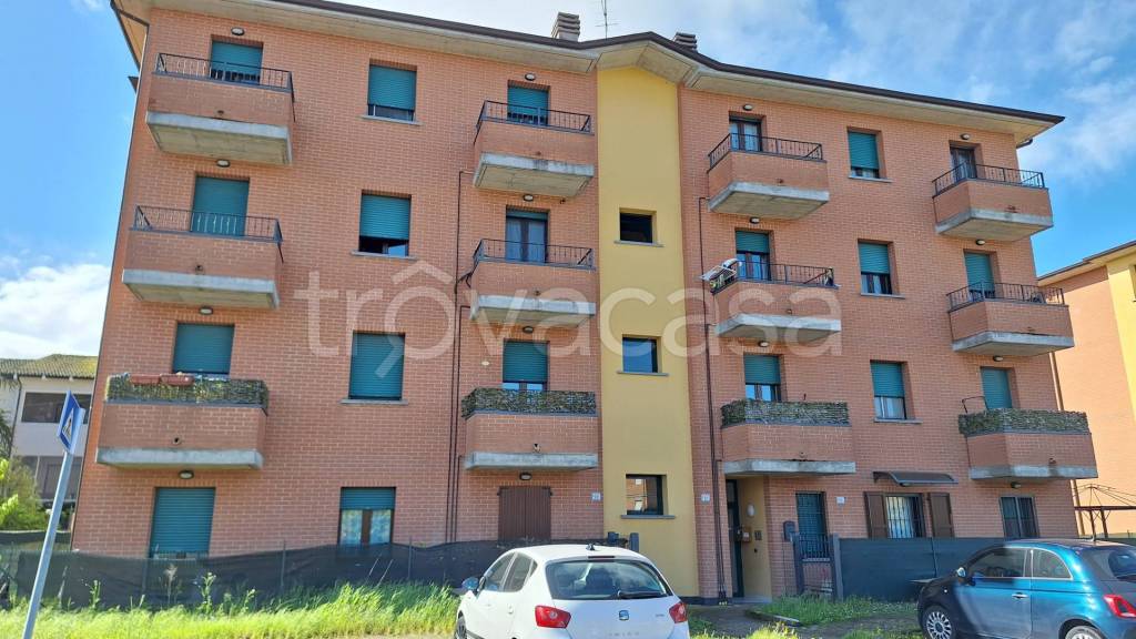 immagine annuncio 1 di 12