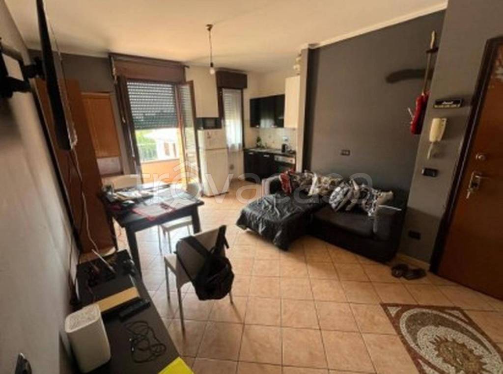 immagine annuncio 3 di 13