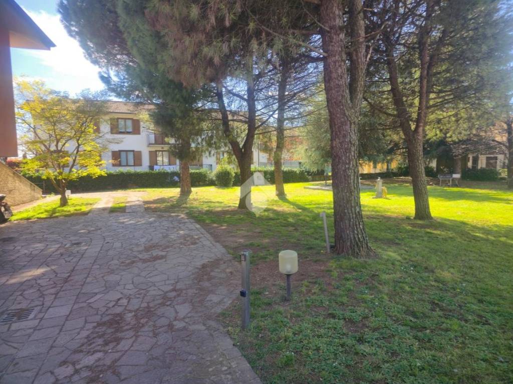 immagine annuncio 1 di 9