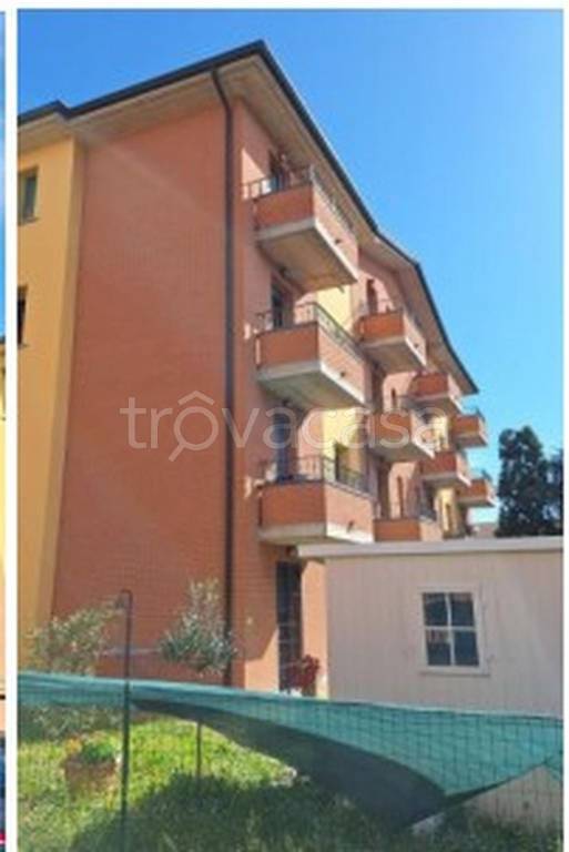 immagine annuncio 5 di 13