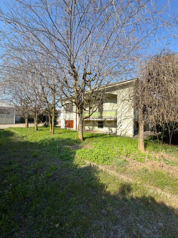 immagine annuncio 1 di 13