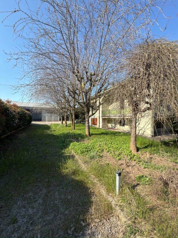 immagine annuncio 3 di 13