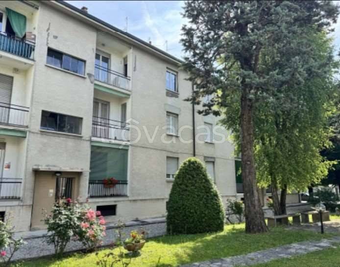 immagine annuncio 2 di 12