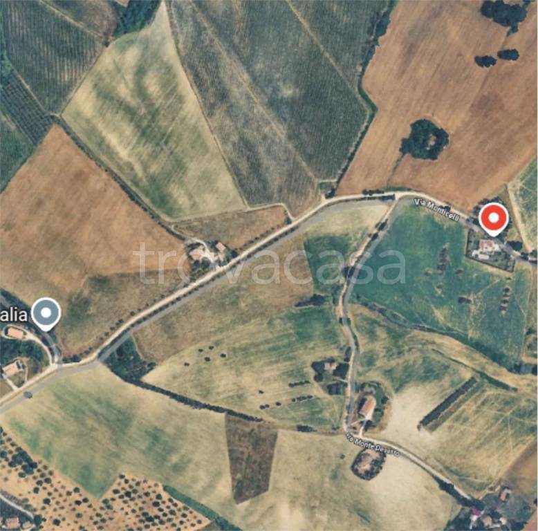 immagine annuncio 7 di 14