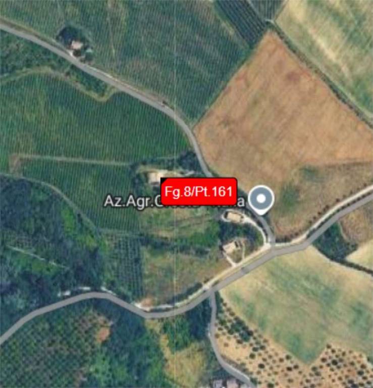 immagine annuncio 11 di 14