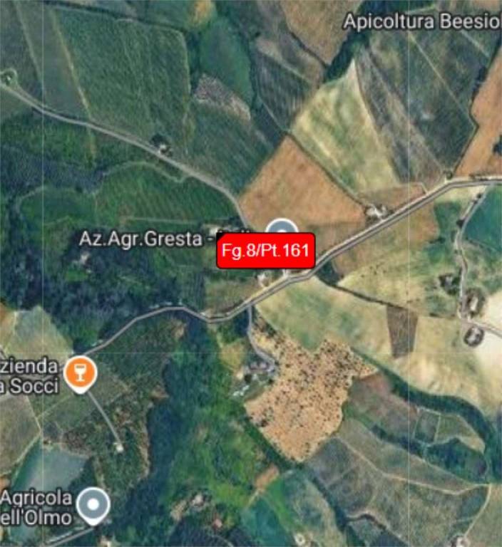 immagine annuncio 12 di 14