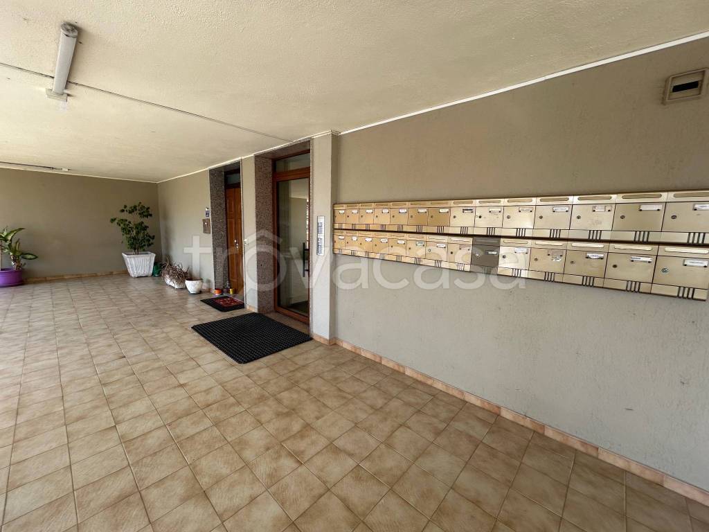 immagine annuncio 3 di 14