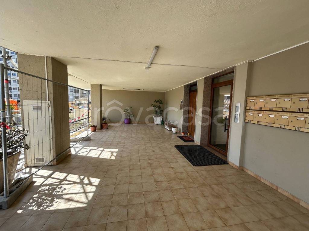 immagine annuncio 2 di 14