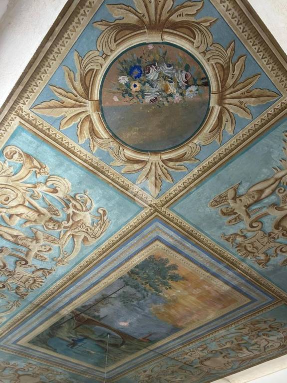 immagine annuncio 1 di 13