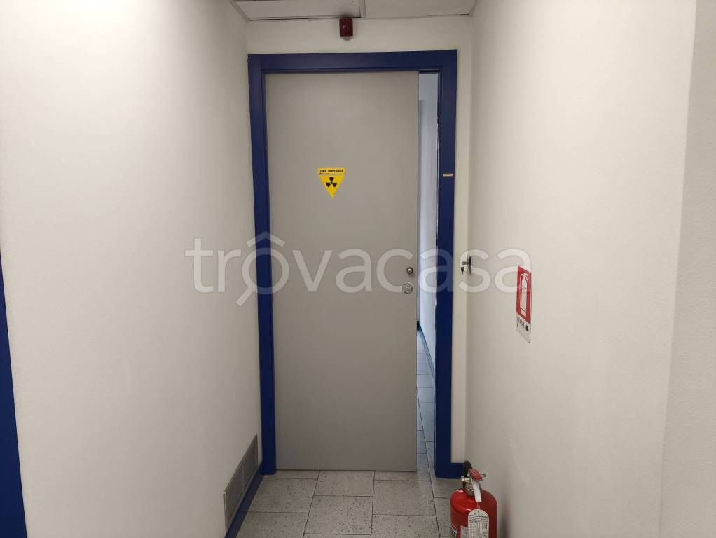 immagine annuncio 2 di 8