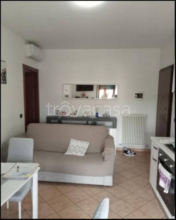 immagine annuncio 3 di 12