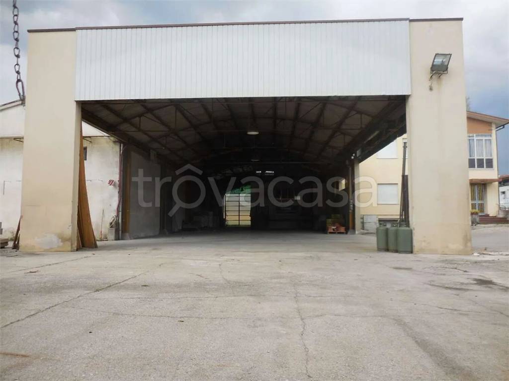 immagine annuncio 2 di 7