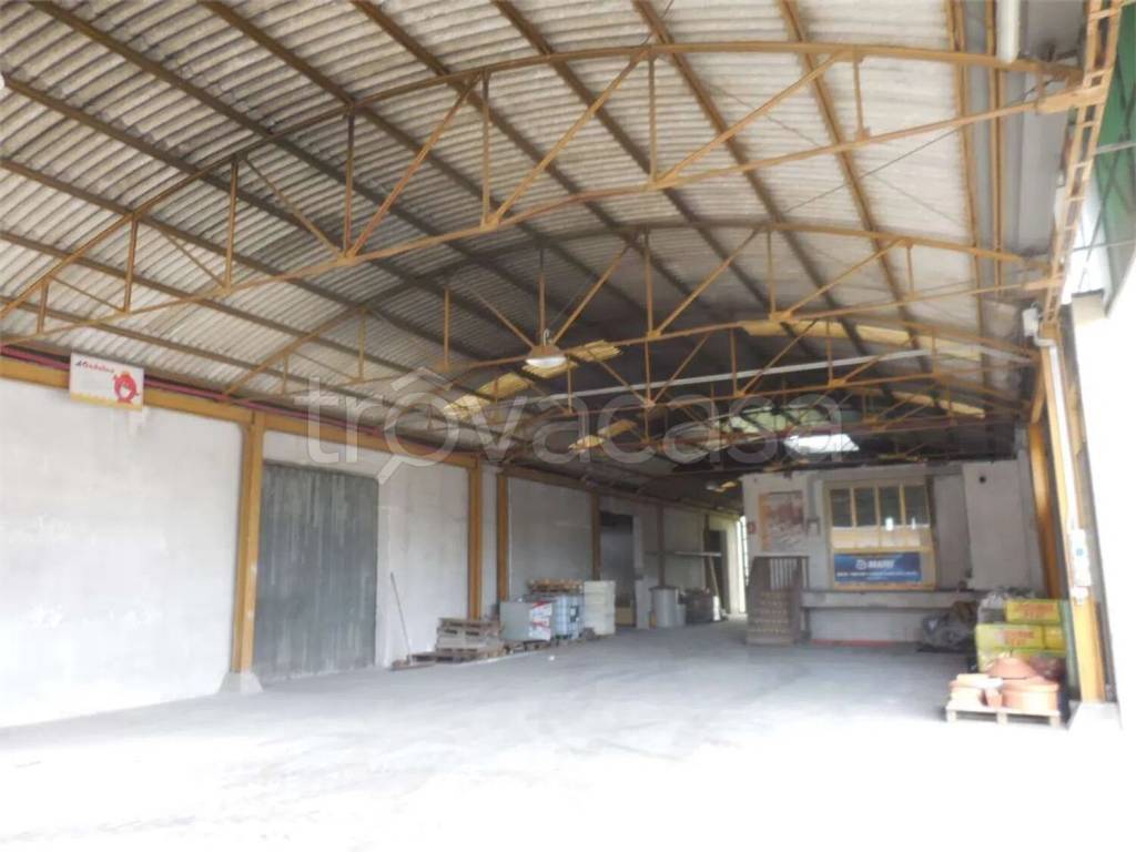 immagine annuncio 3 di 7