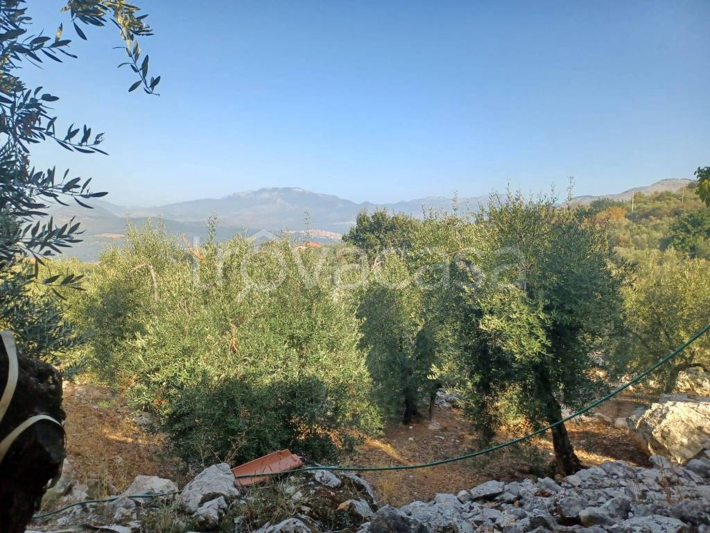 immagine annuncio 1 di 4