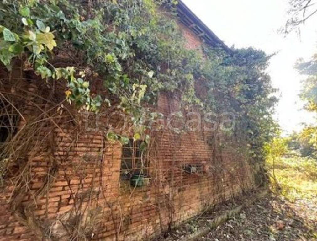 immagine annuncio 11 di 13