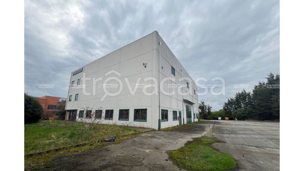 immagine annuncio 1 di 8