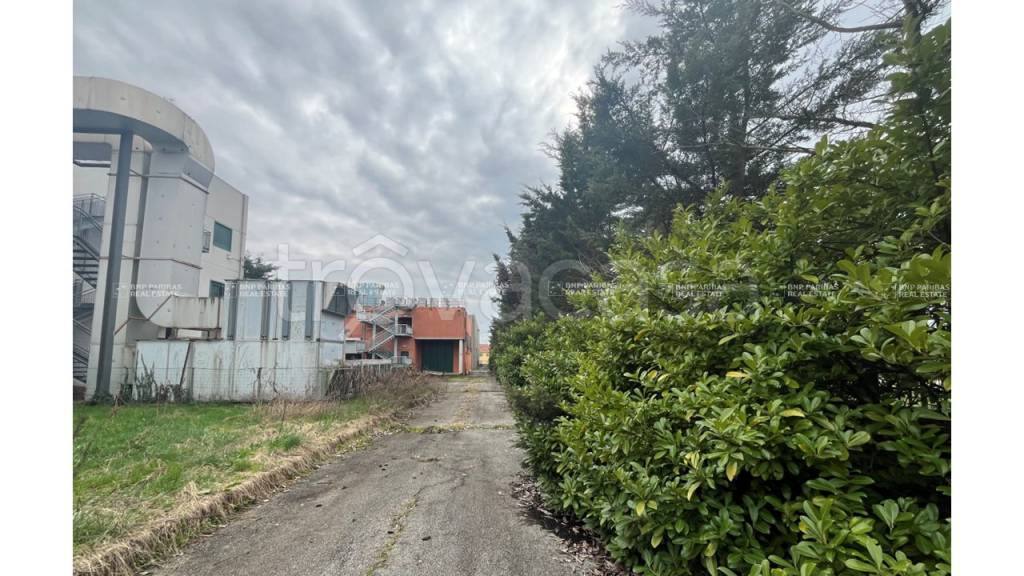 immagine annuncio 3 di 8