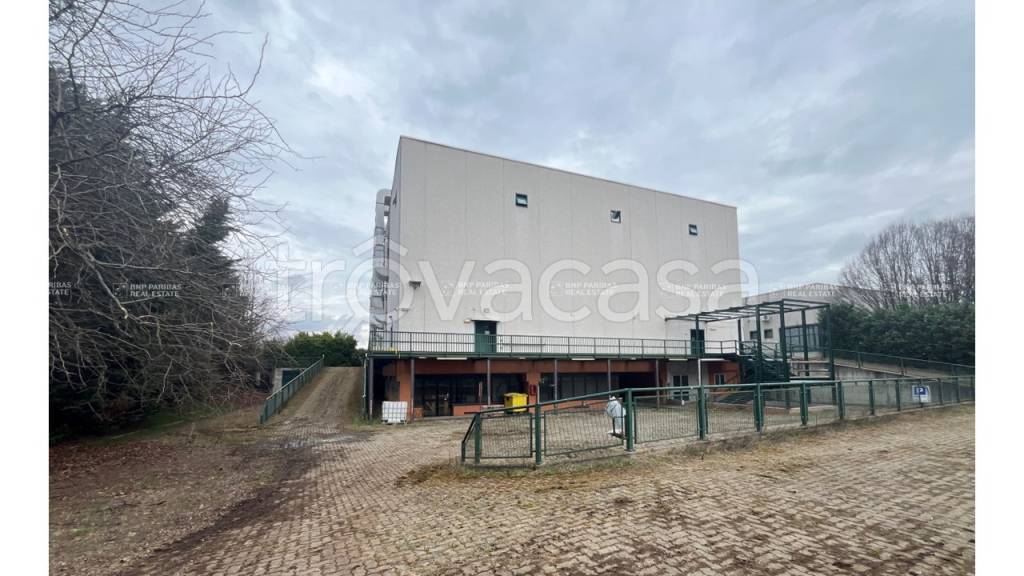 immagine annuncio 4 di 8