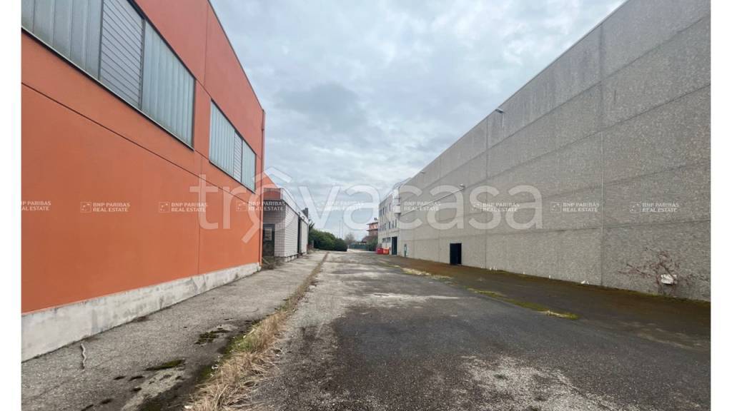 immagine annuncio 5 di 8