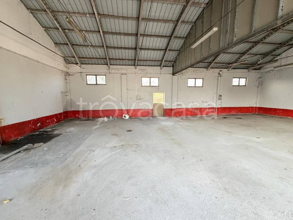 immagine annuncio 1 di 7