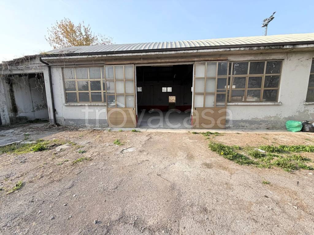 immagine annuncio 3 di 7