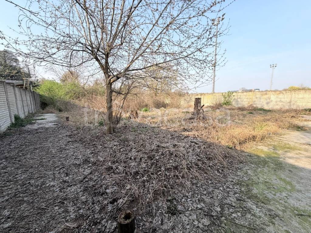 immagine annuncio 6 di 7