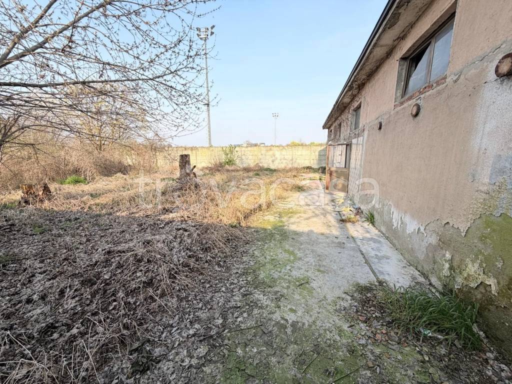 immagine annuncio 4 di 7