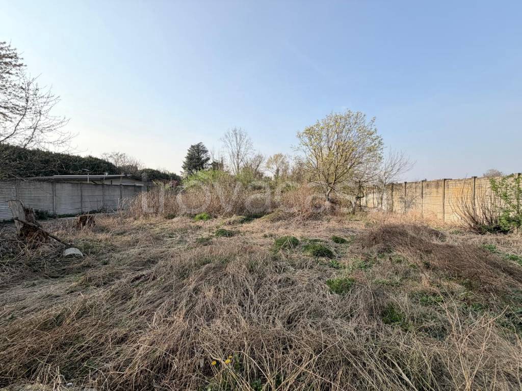 immagine annuncio 5 di 7