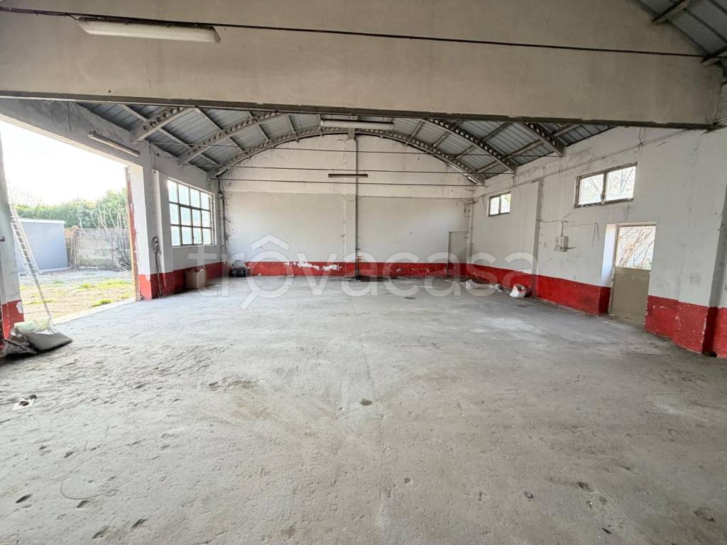 immagine annuncio 2 di 7