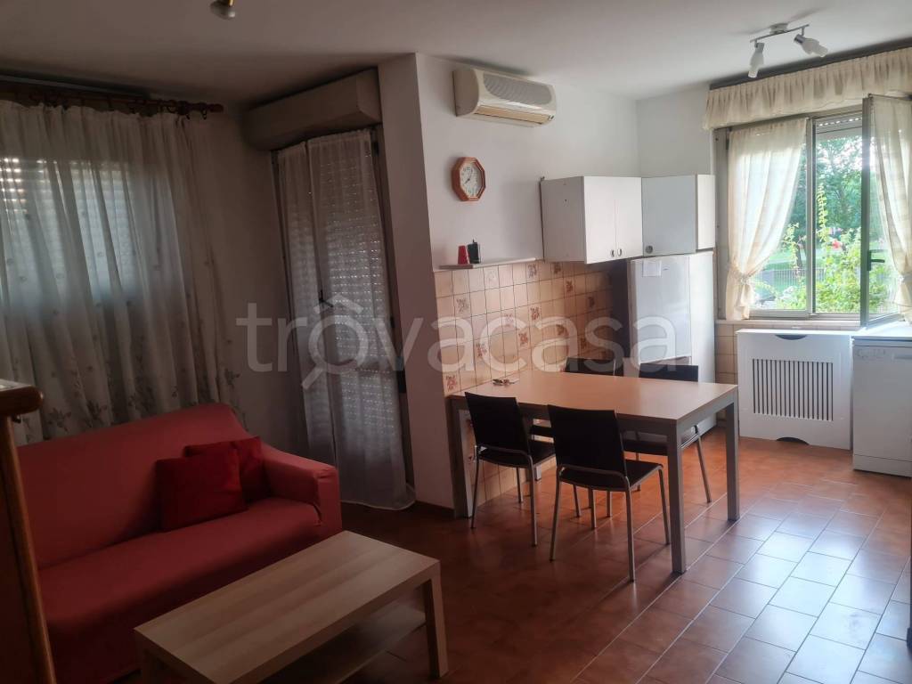 immagine annuncio 5 di 12