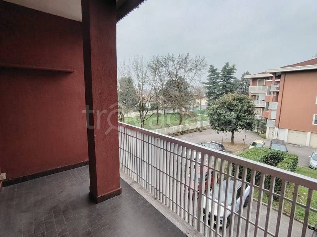 immagine annuncio 12 di 15