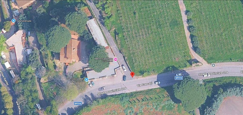 immagine annuncio 11 di 13