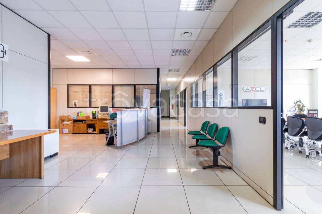 immagine annuncio 9 di 15