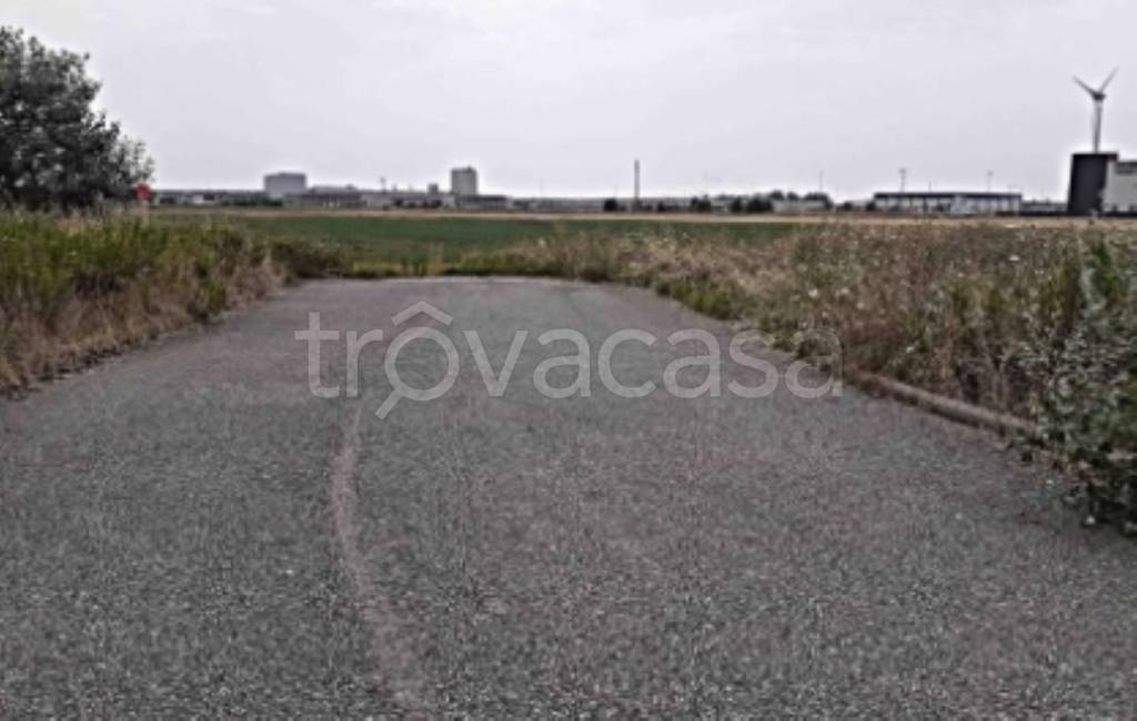 immagine annuncio 2 di 11