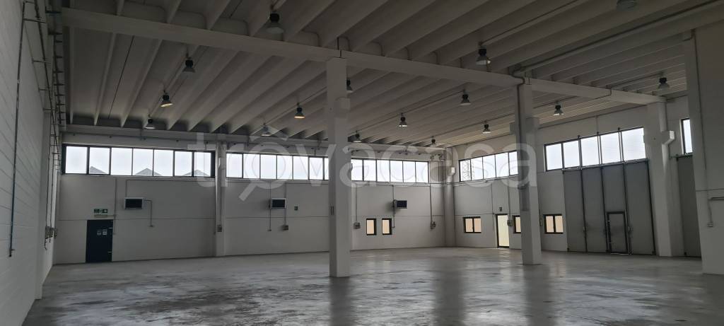 immagine annuncio 3 di 9