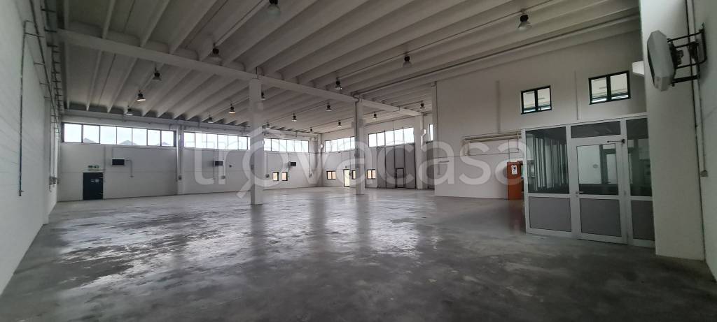 immagine annuncio 4 di 9