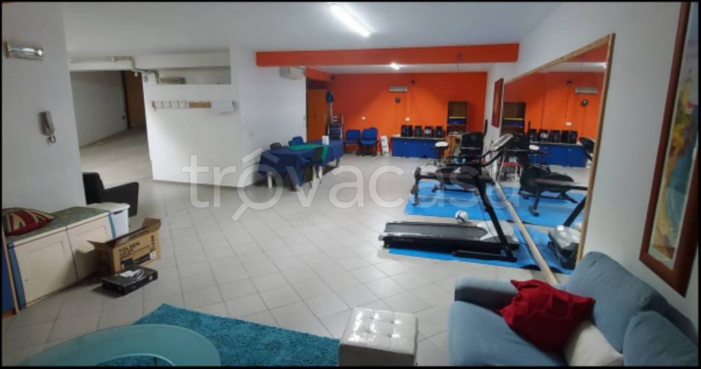 immagine annuncio 8 di 12