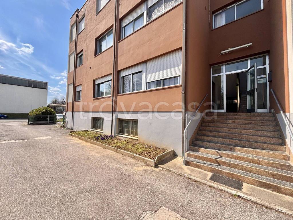 immagine annuncio 12 di 13