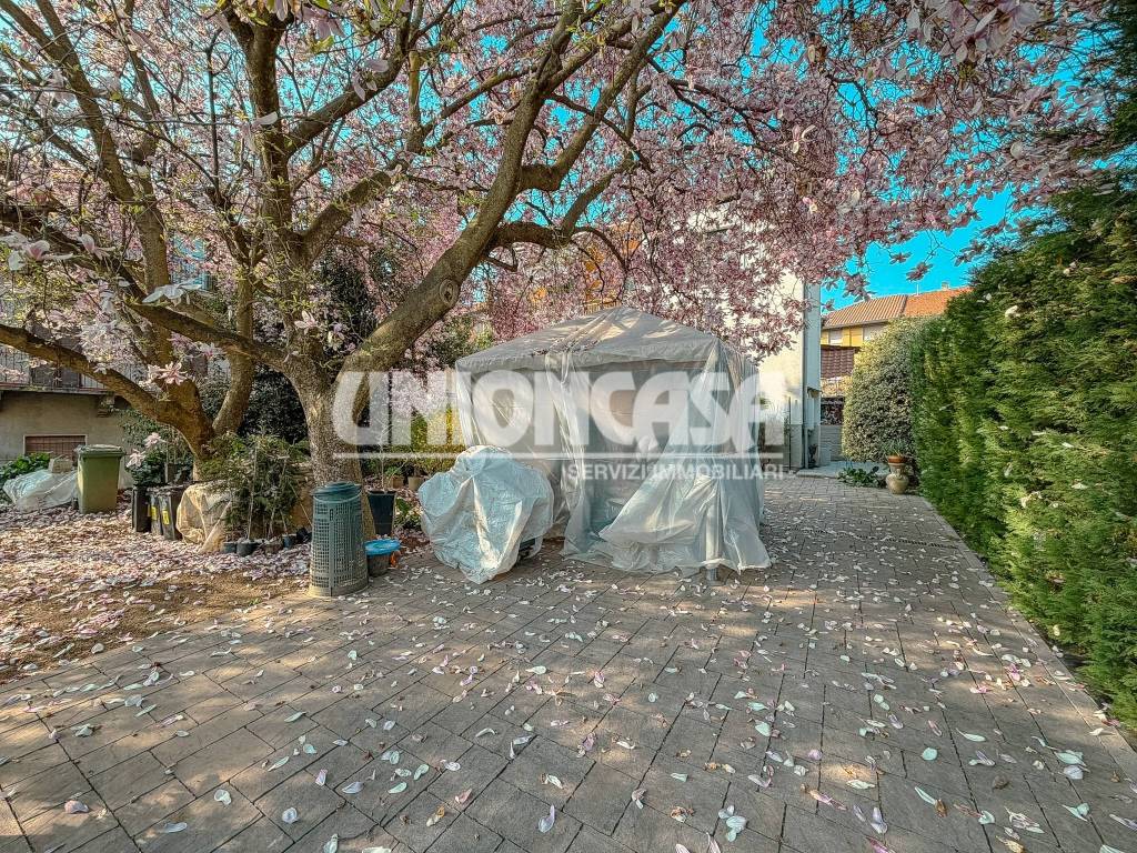 immagine annuncio 7 di 15