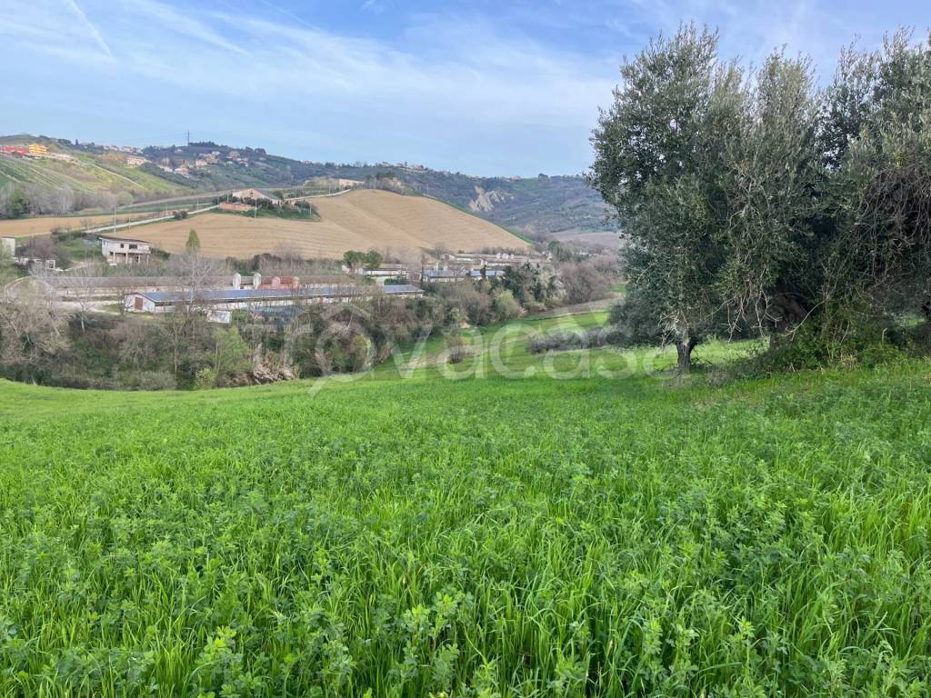 immagine annuncio 11 di 15