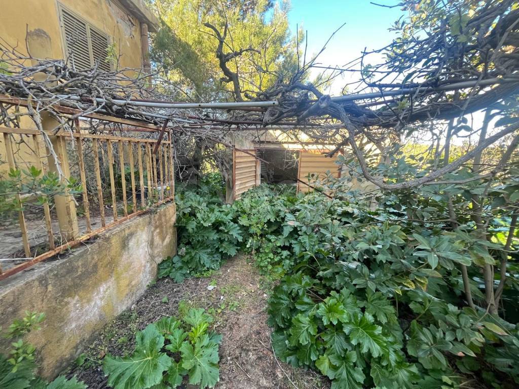 immagine annuncio 2 di 9