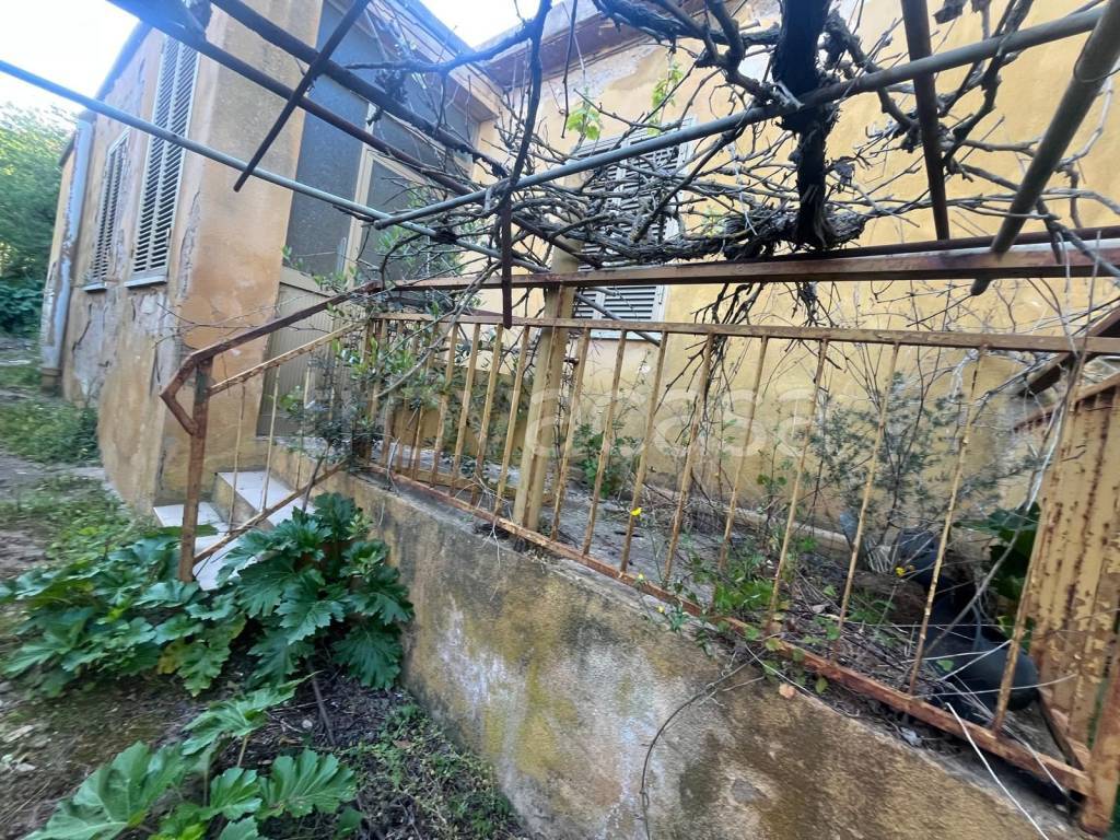 immagine annuncio 4 di 9