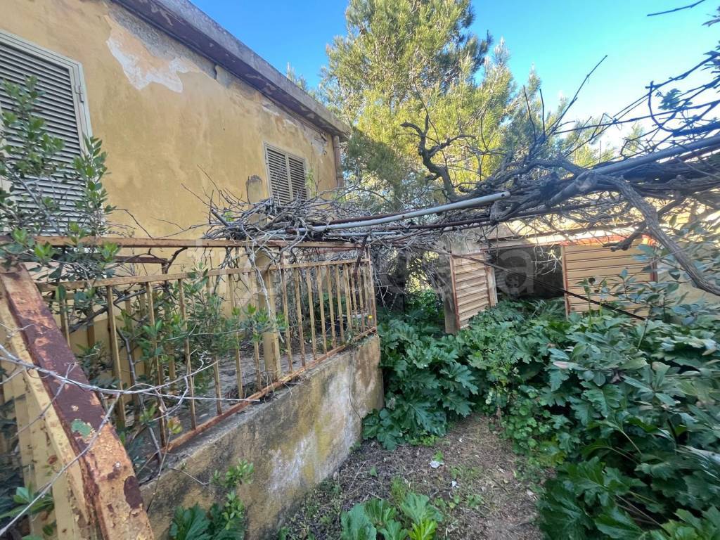 immagine annuncio 5 di 9