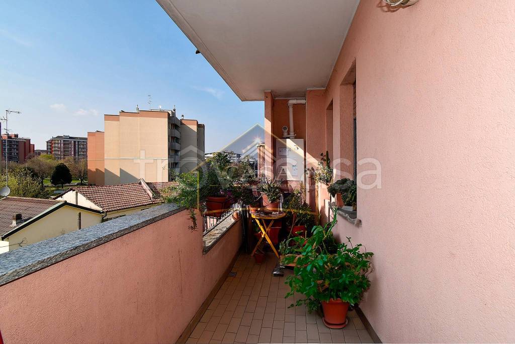 immagine annuncio 5 di 13