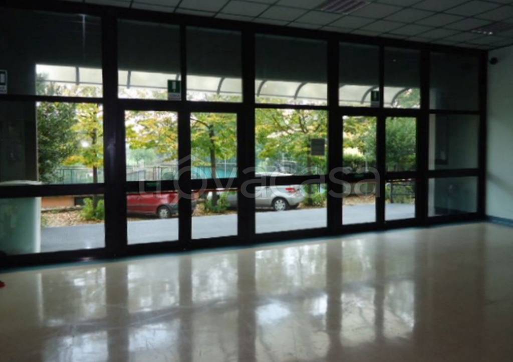 immagine annuncio 5 di 9